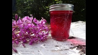 How to Make Fireweed Jelly [upl. by Germaine]