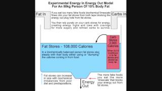 Why I Didnt Get Fat Eating 5000 Calories A Day Part 1 [upl. by Leandre]