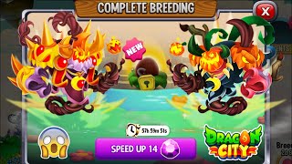 Dragon City High Hallows Dragon vs Halloween Dragon Skin EXCLUSIVE BREEDING 😱 [upl. by Farrison]