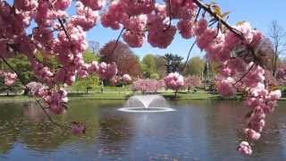 Green Wood Cemetery is The Best Urban Green Oasis of New York [upl. by Athalee597]