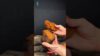 What Are Chaga Mushrooms  chagamushroom medicinalmushrooms [upl. by Viglione]