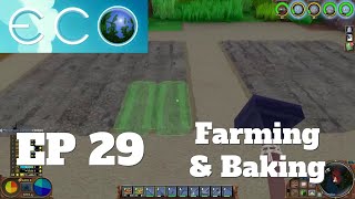 Lets Play Eco Single Player Ep 29  Farming And Advanced Baking [upl. by Htbazile]