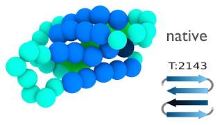 Protein folding simulation using SURPASS coarsegrained model [upl. by Levi67]