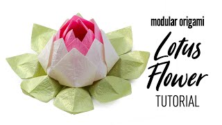 Modular Origami Lotus Flower Tutorial  DIY  Paper Kawaii [upl. by Yzdnil]