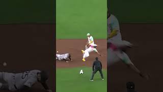 MLB  Funny Moments in Baseball baseball MLB Beisbol [upl. by Abihsat]