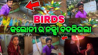 Birds ମାନେ ରହିବେ ଏଥର ଅଧିକ Light ରେ Odia Vlogs Trilochan Lopamudra Vlog [upl. by Nyrroc]