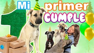 🦌🌳CUMPLEAÑOS de KODA🐕 ¡NUESTRO PERRO DEL BOSQUE cumple 1 AÑO🥰El bb DEL TERROR MERLIN  Conny Merlin [upl. by Anwad]