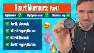 Learn Heart Murmurs In 10 Minutes With Heart Murmur Sounds [upl. by Eiramadnil]