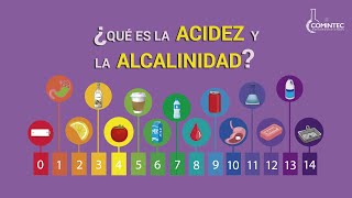 ¿Qué es ACIDEZ y ALCALINIDAD [upl. by Ahiel]