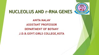 Anita Malav Boatny MScSemIII Paper12 NUCLEOLUS AND r RNA GENES [upl. by Carry541]