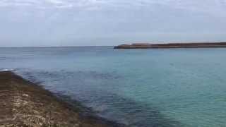 Tropical Beach in Ginowan Okinawa in December [upl. by Drobman]