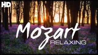 The Best Relaxing Classical Music Ever By Mozart  Relaxation Meditation Reading Focus [upl. by Tricia]