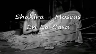 Shakira moscas en la casa letra [upl. by Daas]