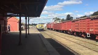 Derm arriving at Daylesford [upl. by Tayler]