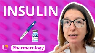 Insulin  Pharmacology  Endocrine System  LevelUpRN [upl. by Xymenes]