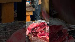 Tuna Cutting Show 🔥  fresh tuna fish cutting videos fish fishing food shorts short [upl. by Dalury]