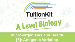 Microorganisms and Health 6 Antigenic Variation High band Biology [upl. by Vala]