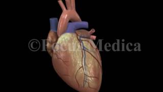 Drugs that affect the autonomics of the heart – Lungs [upl. by Liatrice]