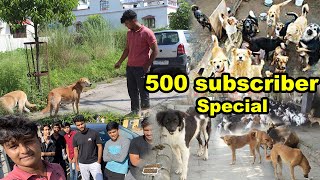 Feeding 100 Street Dogs in One Day  500 subscribers special😍 [upl. by Hook]