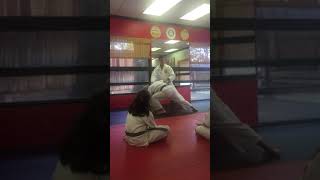 Pinan Nidan bunkai for kids and beginners [upl. by Berl]