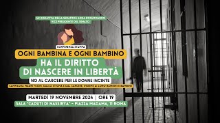 DDL sicurezza No al carcere per le donne incinte [upl. by Agretha7]