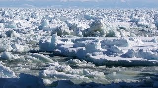 オホーツク流氷 Okhotsk ice sea JR Norokko Train amp Drift ice sightseeing [upl. by Yanahc]