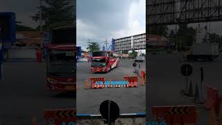 Parkir bareng Agra Mas amp Laju Prima Terminal Maospati Magetan [upl. by Elnukeda]