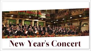 Happy New Year  New Years Concert  Strauss Vienna Orchestra  Traditional Classical Music [upl. by Nnylyak]