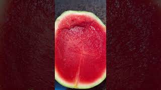 The Difference Between Red amp Yellow Watermelon watermelon red yellow [upl. by Felt]