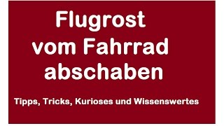 Flugrost an Chrom vom Fahrrad Auto Motorrad entfernen  Rad Fahrradfelge Rost abreiben abschaben [upl. by Dhumma]