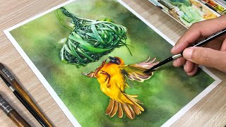 Bird Build Nest in Watercolor Painting [upl. by Sateia942]