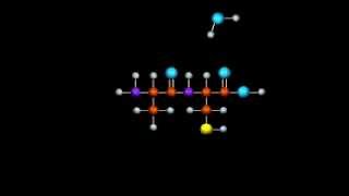 Proteine il legame peptidico [upl. by Obadias]