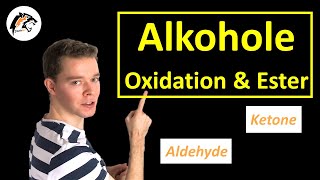 Reaktionen der Alkohole Oxidation amp Esterbildung  Chemie Tutorial [upl. by Aydne]