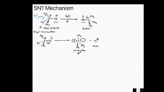 SN1 Mechanism in Organic Chemistry [upl. by Rauscher]