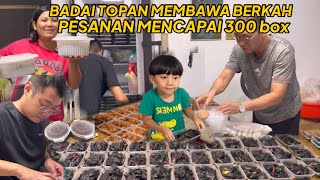 ANGIN TOPAN MEMBAWA BERKAH PESANAN TEMBUS 300 BOX PAPA SAMPAI TURUN TANGAN [upl. by Simone678]