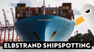 Elbstrand Shipspotting  2 x 400 m Containerschiff und die Artania ⚓️ Hamburg Hafen Live [upl. by Sitnik]