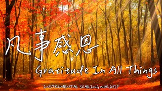 凡事感恩 Gratitude In All Things  等候神音樂  Soaking Music  靈修音樂  Instrumental Music  Worship  輕音樂 [upl. by Falconer]