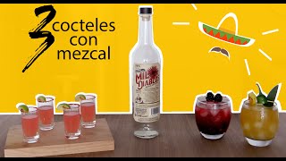 ¿Cómo preparar 3 cocteles fáciles con mezcal [upl. by Ahtnama40]