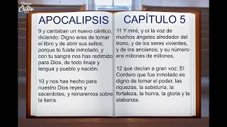 🔴La Biblia Hablada  APOCALIPSIS  Nuevo Testamento  Audiolibro Completo [upl. by Phillada]