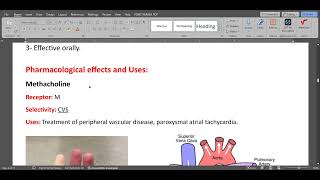 ANS Parasympathomimetic drugs [upl. by Rubbico]