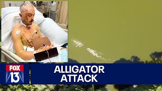 Drone video shows alligator attacking Florida man swimming in lake [upl. by Declan891]