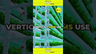 THE FUTURE OF FARMING VERTICAL FARMING EXPLAINED facts didyouknow explore [upl. by Christin]