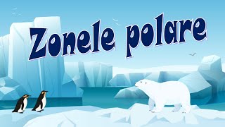 Zonele polare  Arctica și Antarctica  Polul Nord și Polul Sud  Animale polare [upl. by Deck]