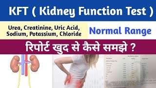 Kidney Function Test in Hindi  KFT Test in Hindi  KFT Report Kaise Dekhe  rft test in hindi [upl. by Secnarf]