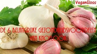 KNOFLOOK GEZOND EN TEGEN VELE KWALEN [upl. by Gareri]