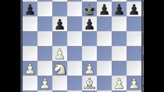 Schach WM 2013 Partie 5  Analyse [upl. by Rutherford]