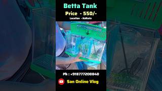 Betta Tank Price Update shorts aquarium youtubeshorts [upl. by Joed]