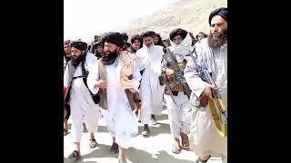 Taliban Attitude Status  Power Of Afghan Taliban  Afghan Taliban Attitude Status  Taliban Power 💪 [upl. by Nairahcaz]