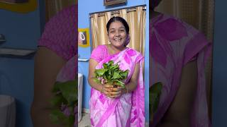 Palak Paneer Recipe  500 Rupees Pink Colour Meesho Saree shorts ashortaday trending [upl. by Dayna]