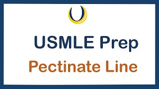 USMLE Prep Pectinate Line [upl. by Fanechka]